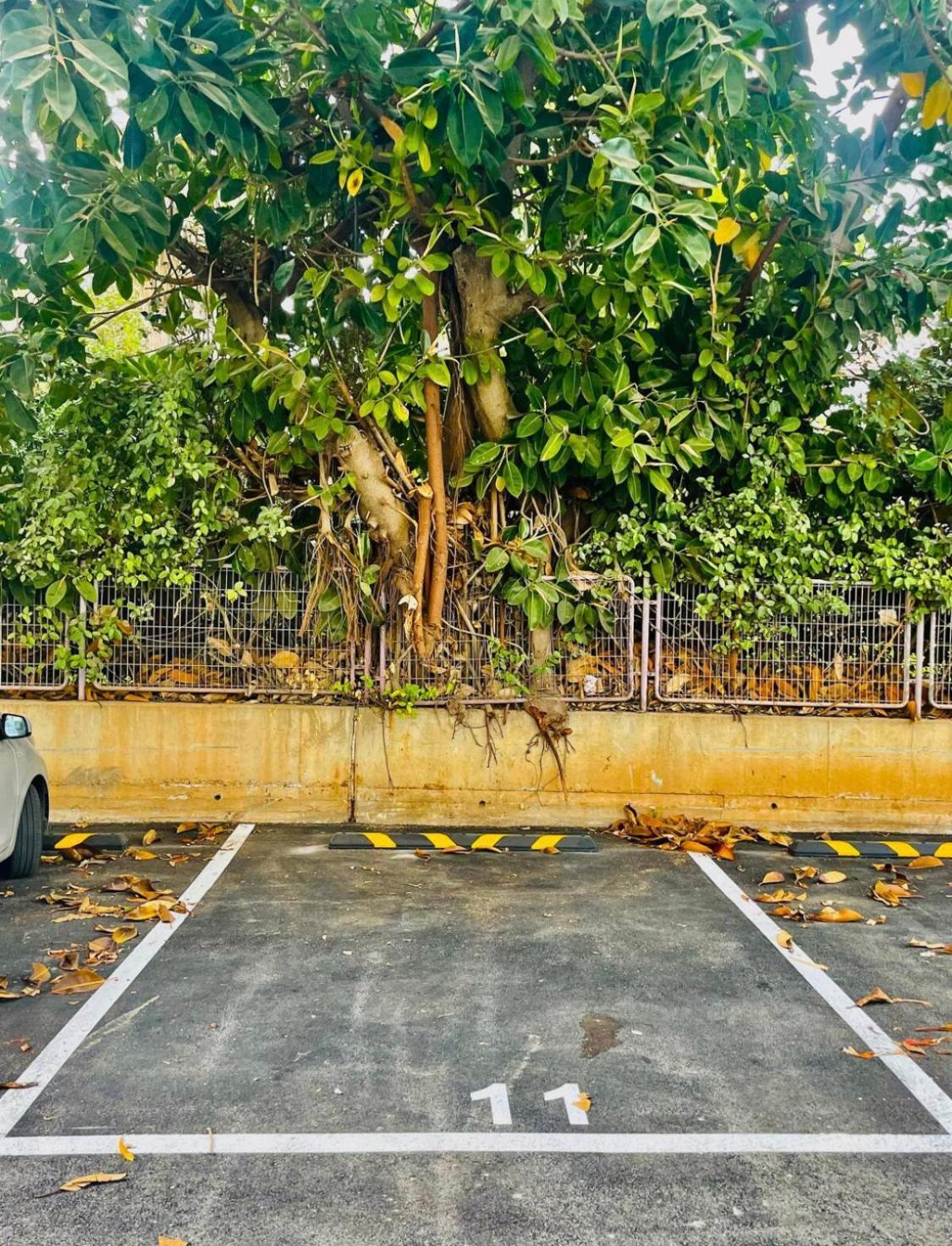 High-End Apartment , With A Private Parking And An Elavator تل أبيب المظهر الخارجي الصورة